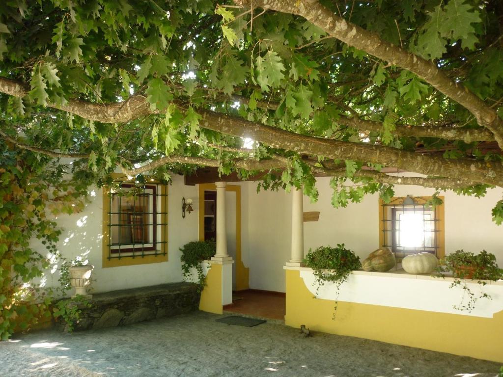 Quinta Do Troviscal Villa Castelo do Bode Exteriör bild