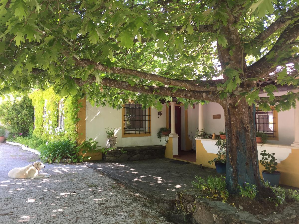 Quinta Do Troviscal Villa Castelo do Bode Exteriör bild